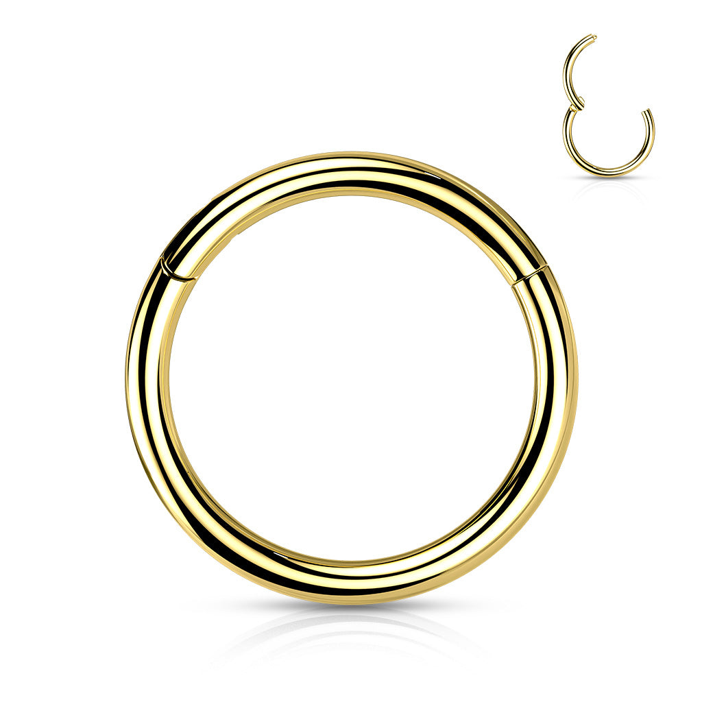16G Titanium Hinged Segment Hoops For Septum, Ear & Lip Piercings