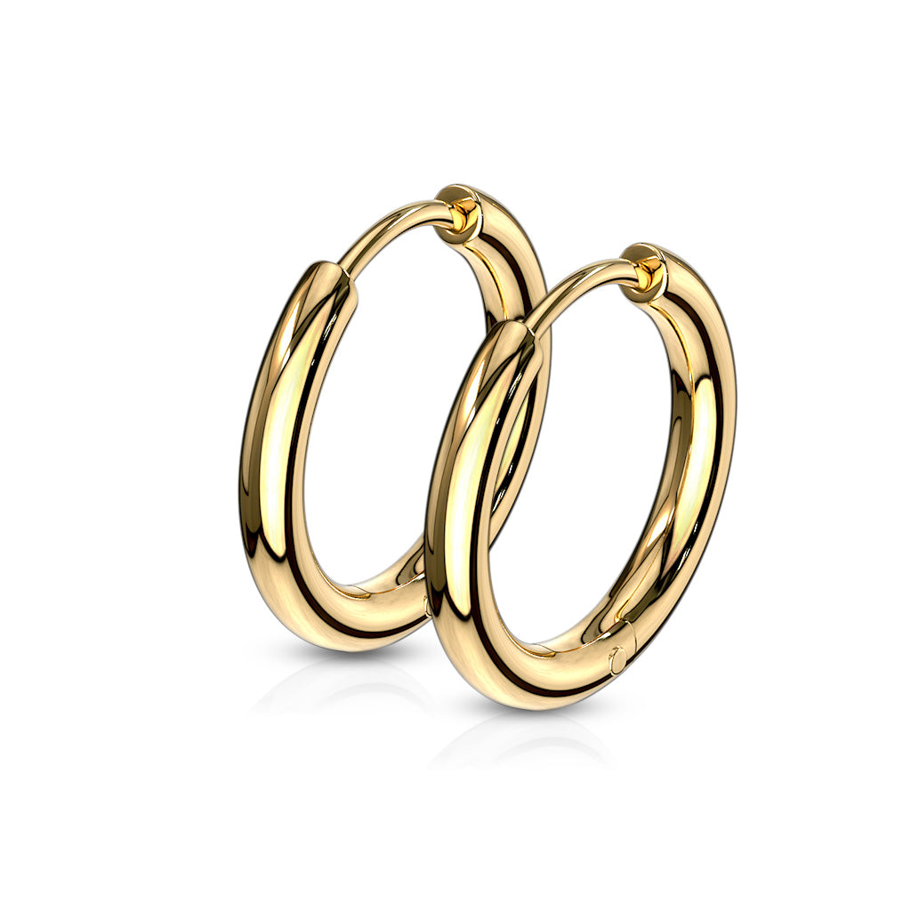 Pair of 20G Stainless Steel Hoop Earrings